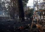 Grecko trpi lesnymi poziarmi kvoli horucavam