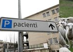 Laboratorne testy potvrdili pripady Q horucky v Raztocne