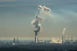 Doposial 500 firiem usetrilo na daniach miliony eur