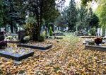 Dusickove obdobie v Bratislave Predlzene otvaracie hodiny do 2000 h