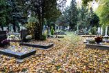 Dusickove obdobie v Bratislave Predlzene otvaracie hodiny do 2000 h