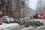 Smykajuce kamiony popadane stromy stovka hasicov v terene Kde bola situacia najhorsia