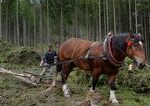 Statna firma prepusta stovky ludi prve hromadne prepustanie