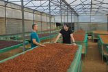 pripravene po rodinnej stola az po kavove plantaze vo vietname