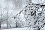 Noc prinesie snezenie a zradnu poladovicu Vietor na horach dosiahned silu vichrice