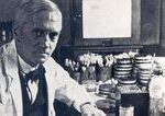 Nahodny objav ktory zmenil svet Alexander Fleming revoluciu v medicine nepredpokladal