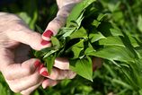 Nezvycajne teple pocasie na zaciatku marca moze niektorych ludi vyhnut von