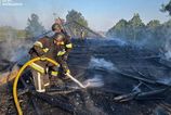 Kyjev sa stal po ukonen prmeria terom masvneho toku dronov Poda Zelenskho Rusko zatoilo viac ne 200 strojmi
