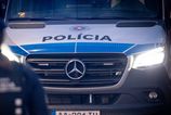 Policia zadrzala 26 roneho muza Tehotnu partnerku nutil k zobranieu a sexualnym sluzbam