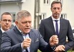 Konzervativci maju poslednu sance porazit Smer Ak to nevyjde spoja sa s nim komentar Martina Behula