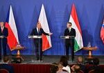 V4 je podivne spolocenstvo Strednu Europu nespajaju uspechy ale zlyhania komentar Borisa Zalu