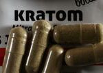 rekordny ulovok v cesku colnici v brne zaisitili 800 kilogramov nelegalneho kratomu
