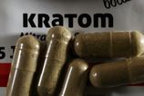 rekordny ulovok v cesku colnici v brne zaisitili 800 kilogramov nelegalneho kratomu
