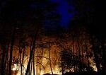 Intenzivny poziar zasiahol chraneny les Fontainebleau vo Francuzsku