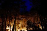 Intenzivny poziar zasiahol chraneny les Fontainebleau vo Francuzsku
