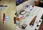 Policia rozbila skupinu prevadzkujucu nelegalne psie zapasy v troch krajinach