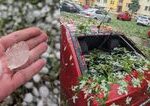 Slovensko zasahuju burky Zapad hlasi nehody na R1 zrusene vlaky a popadane stromy na severe hrozi povoden