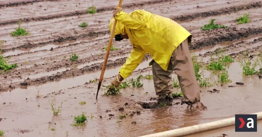 El Niño ohrozuje milióny detí v Latinskej Amerike, hrozia suchá a záplavy
