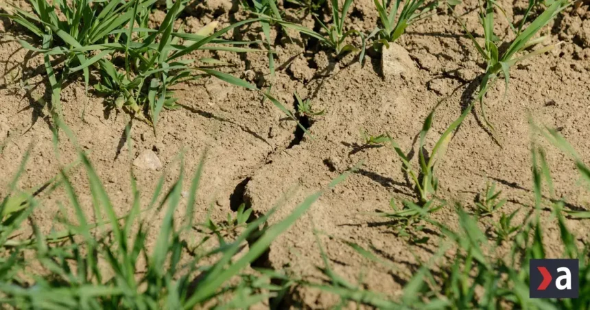 Európu sužuje sucho. Deväť krajín vrátane Slovenska má najsuchší august