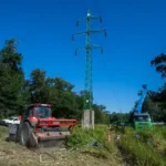 Najvyšší súd zamietol dovolanie štátu v kauze Pečnianskeho lesa, Lesy SR zvažujú postup