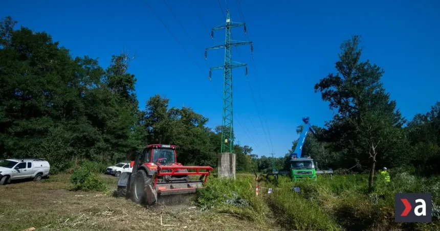 Najvyšší súd zamietol dovolanie štátu v kauze Pečnianskeho lesa, Lesy SR zvažujú postup