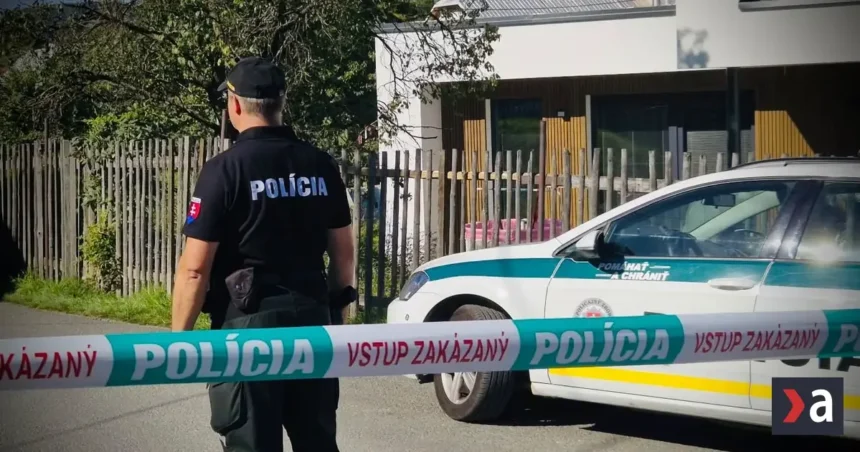 Nemôžu ho obviniť ani vziať do väzby. Čo bude s 13-ročným útočníkom zo Staškova?