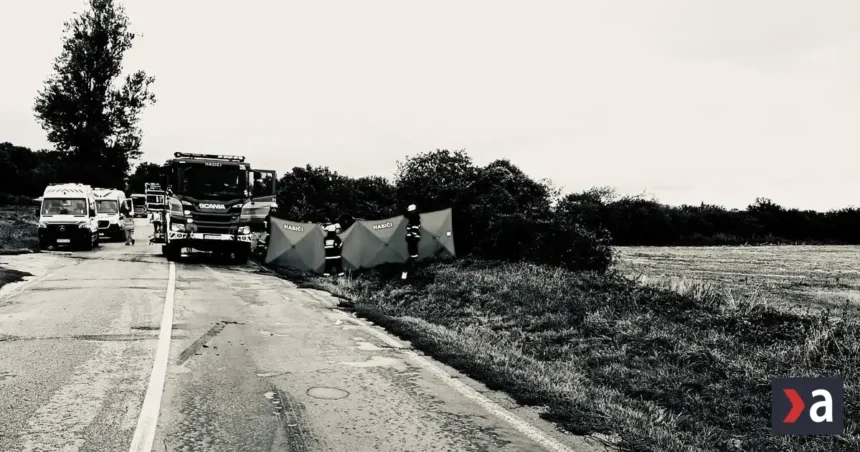 Smrteľná nehoda pri Beckove: Vodič zomrel po náraze do stromu, polícia vyšetruje príčiny