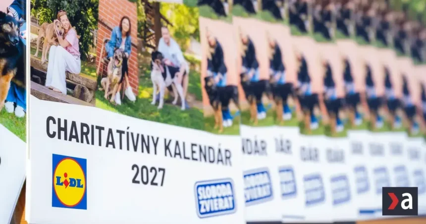 Lidl a Sloboda zvierat spájajú sily v novom partnerstve