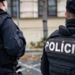 Muž čelí obvineniu za zabitie psa po hádke s partnerkou