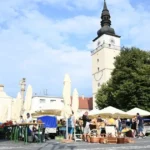 Nové zloženie zastupiteľstva Trnavského kraja: úplné výsledky volieb