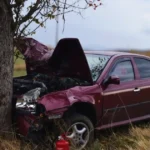 Opitý šofér s takmer 2,5 promile narazil do stromu, prišiel o vodičák