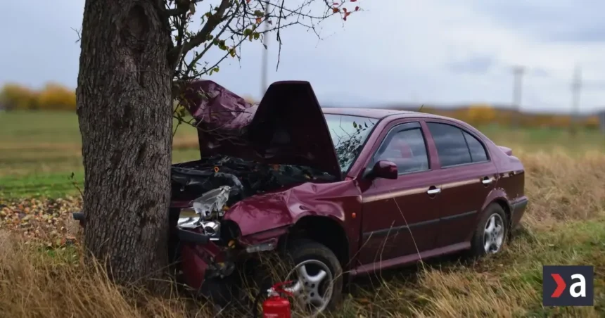Opitý šofér s takmer 2,5 promile narazil do stromu, prišiel o vodičák
