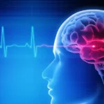 Poľská neurologička prezrádza, ako si udržať bystrú myseľ. Radí štyri železné pravidlá