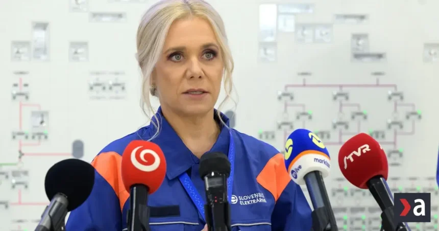 Štát rokuje o cene elektriny okolo 79 eur pre domácnosti v roku 2027